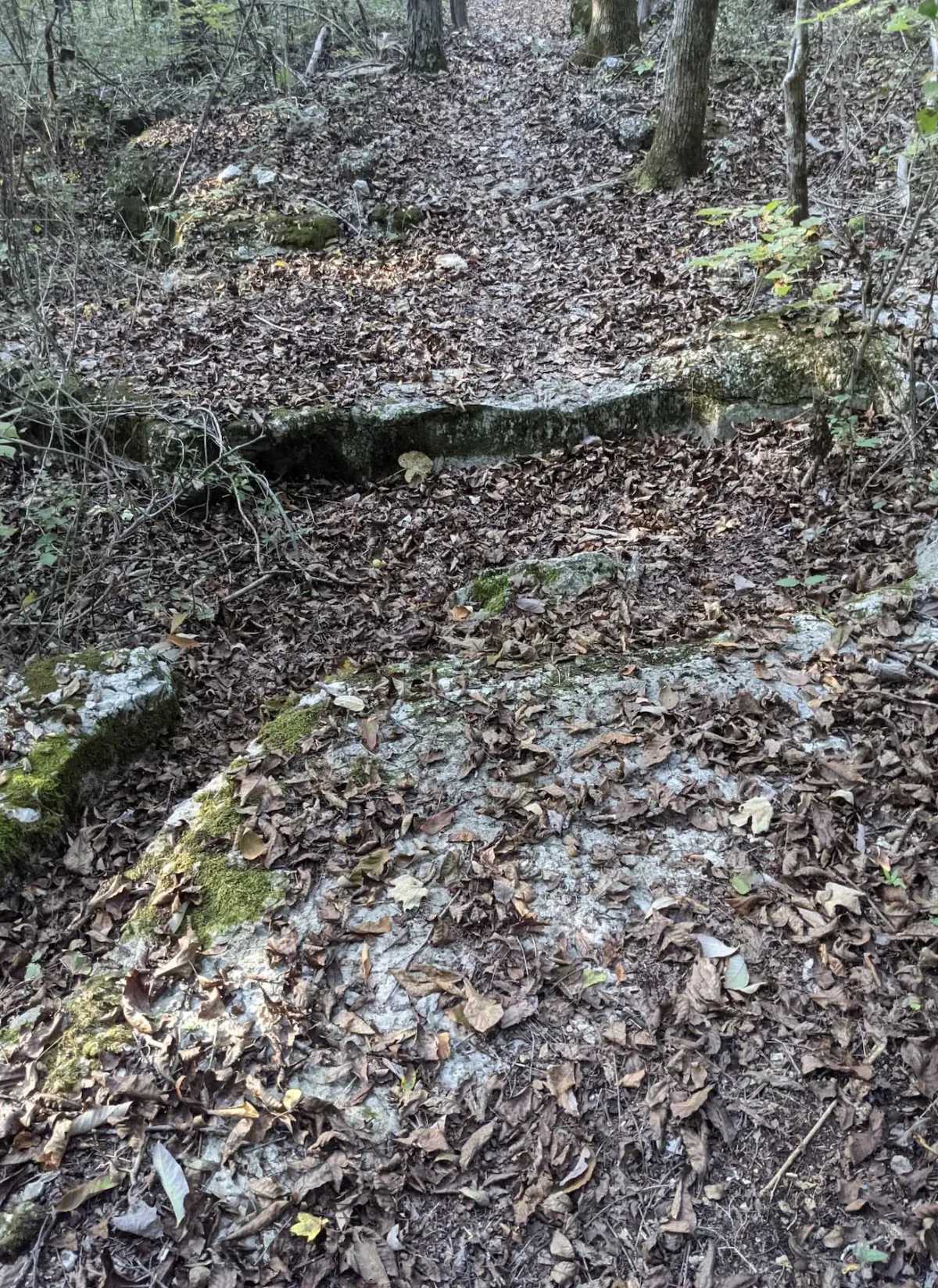 Photo from blog post 178