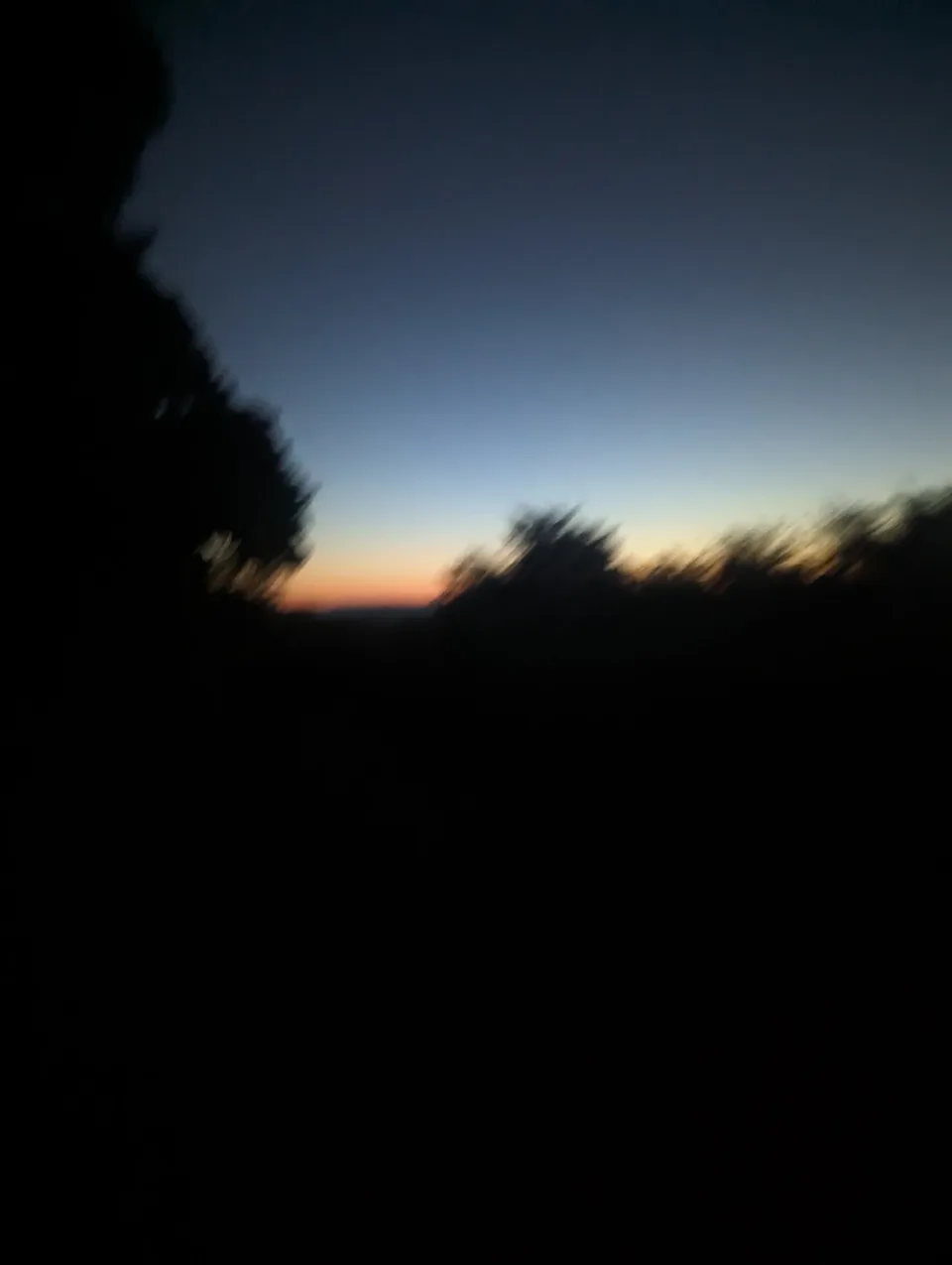 Photo from blog post 185