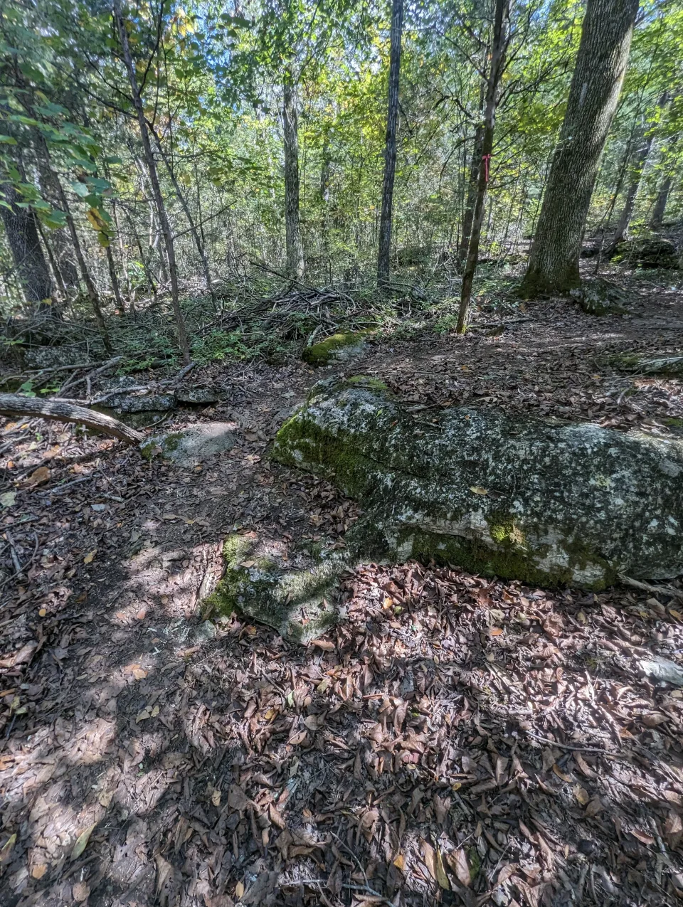 Photo from blog post 185