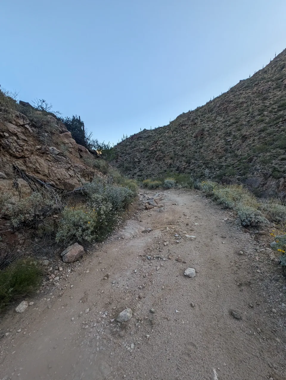 Photo from blog post 187