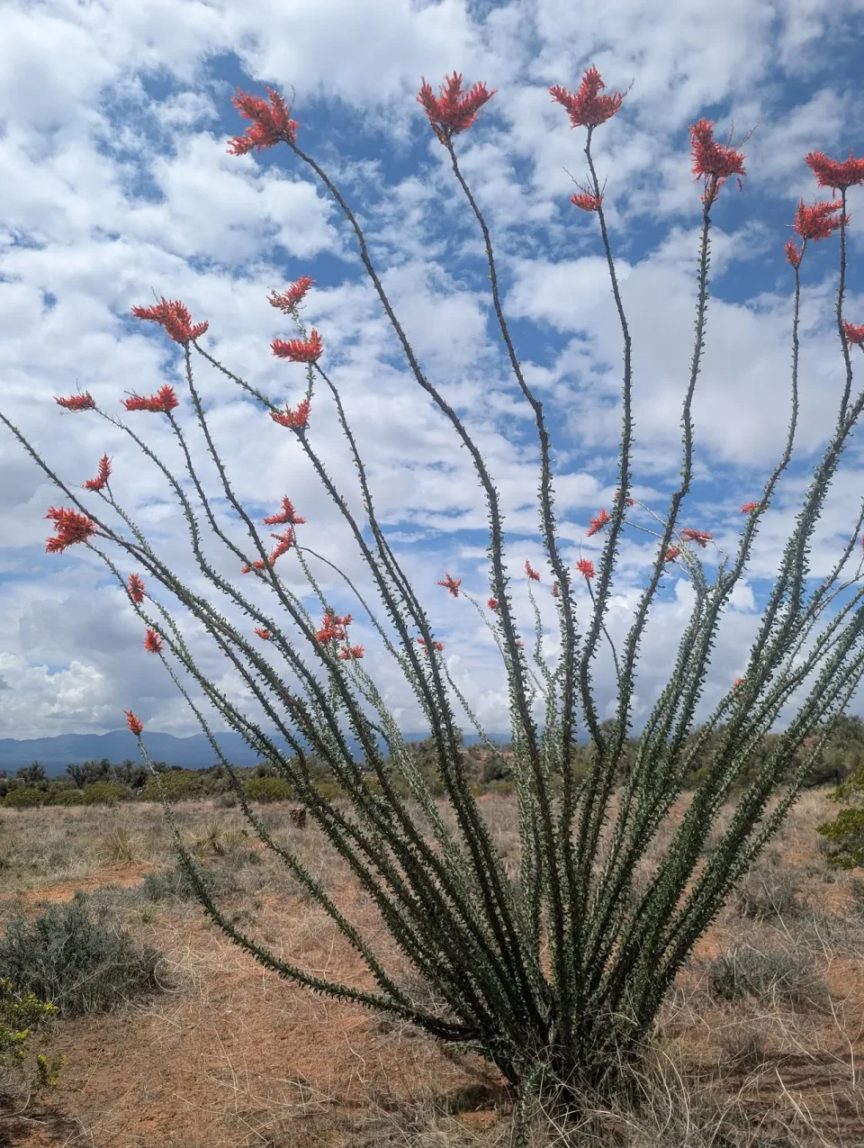 Photo from blog post 189