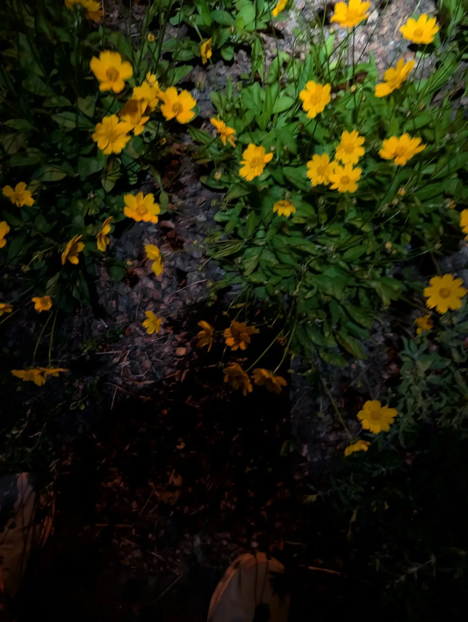 Photo from blog post 190