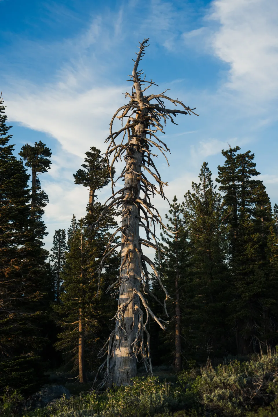 Photo from blog post 190